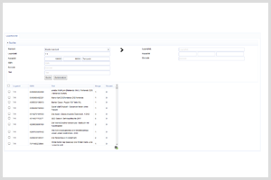 Inforius Lagertransfer